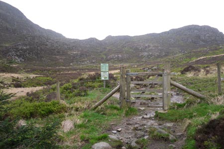 Gate where the path leaves the forest for Rhinog Fawr