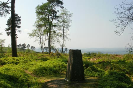 Trig point at the top of Black Down