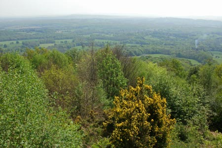 View from Temple of the Winds on Black Down, West Sussex