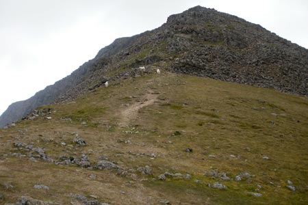 From Y Grisiau, the climb Moel Hebog's summit