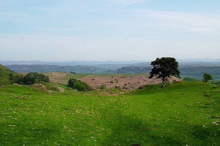Typical landscape of the South Lakes
