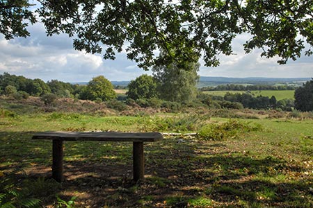 View to the Clent Hills from Kinver Edge