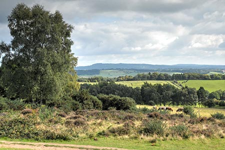 The Clent Hills seen from Kinver Edge