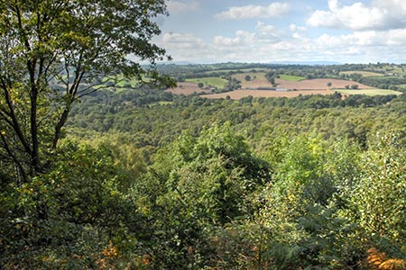 View west from Kinver Edge to the Shropshire Hills