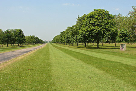 Windsor Great Park, The Long Walk
