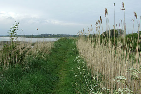 Footpath next to the River Deben