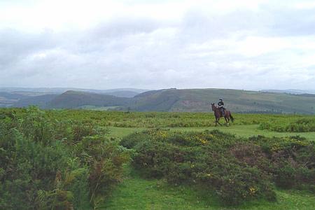 Panorama from Hergest Ridge
