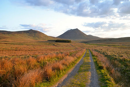 Track to Corrichoich and Morven, Caithness