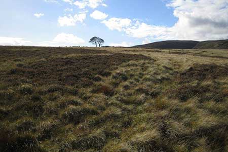 Crookstone Out Moor, Kinder Scout