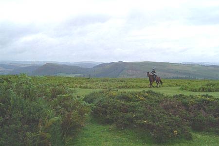 View from the Hergest Ridge