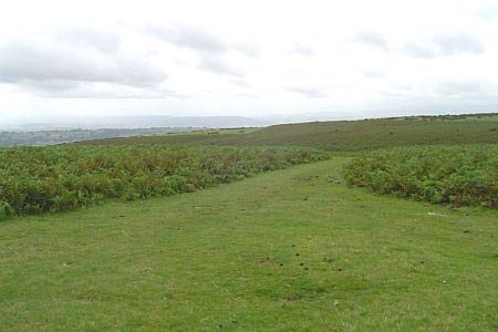Disused race course around the summit of the Hergest Ridge