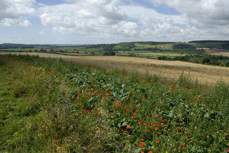 The Arun Valley from Peppering High Barn, near Burpham