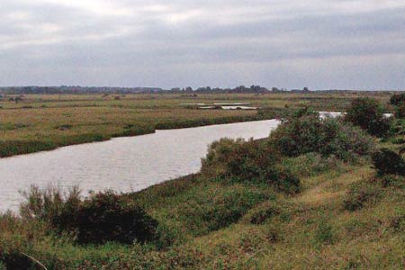 View inland over the Broadwater from coastal path, Thornham