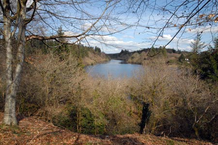 Trenchford Reservoir near Moretonhampstead