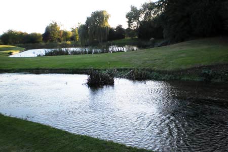 Ponds at Buckinghamshire Golf Course