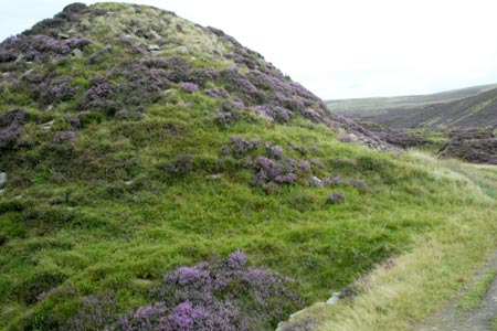 Old spoil heaps at Danebower now covered with heather
