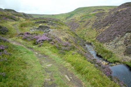 The River Dane from Reeve-edge Quarry
