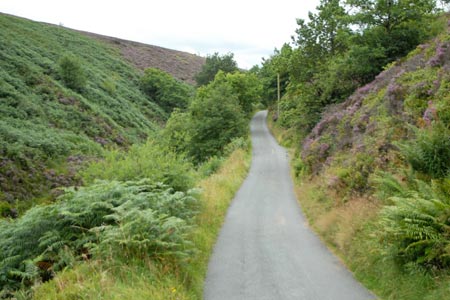 The minor road followed near Hawks Nest
