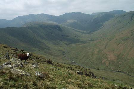 Bowfell, Esk Pike & Scafells from Sergeant's Crag