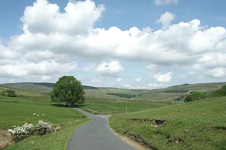 Open road near Kenibus, view north to Bowland fells