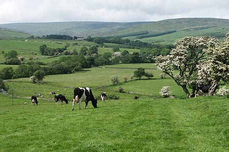 The view north along Croasdale from south of Shay House