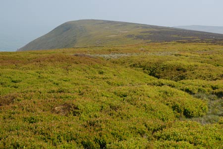 Vale of Ewyas & Hatterrall Ridge