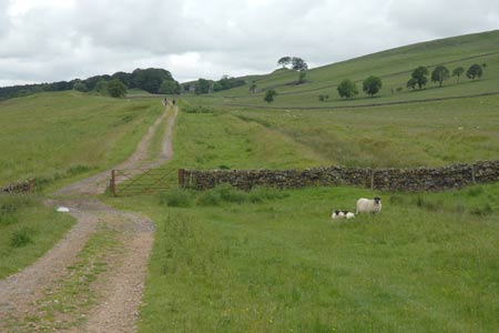 Following the Roman Vallum from Aesica west to Walltown