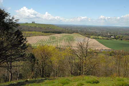 The view west from Coombe Hill
