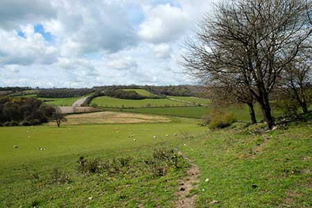The Chiltern Way below Commonhill Wood
