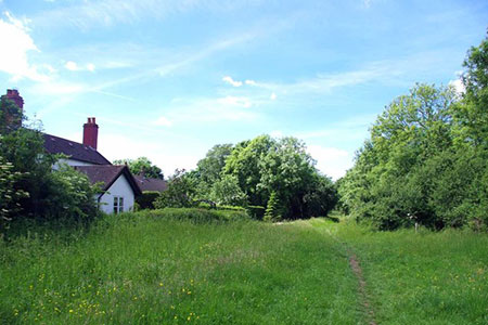 Epping Long Green Near The Old Farm, Essex