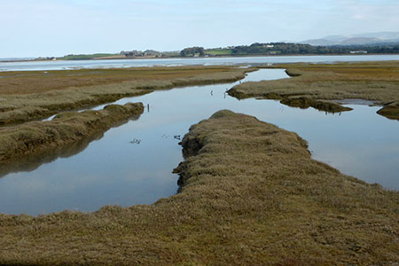 Photo from the walk - Foryd Bay from Dinas Dinlle