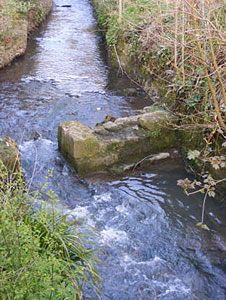 River Sheppey at Shepton Mallet