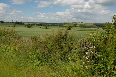 Staffordshire countryside near Abbots Bromley