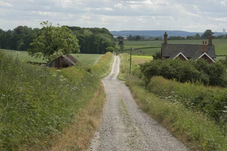 The lane passing Moors Farm near Abbots Bromley