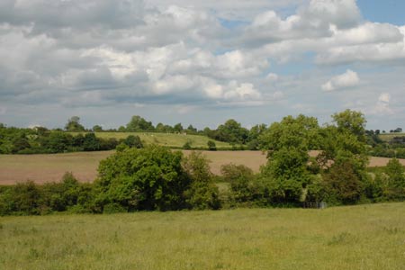 Abbots Bromley is surrounded by pleasant countryside