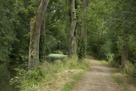 The path alongside the Wey & Arun canal near Loxwood