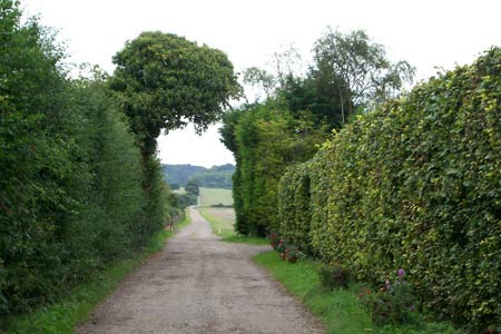 Hog Hall Lane and the start of some uphill walking