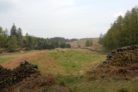 Open country south of Latterbarrow's summit