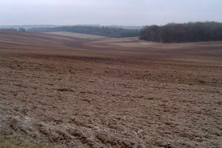 View of the downs looking east from Court Drove