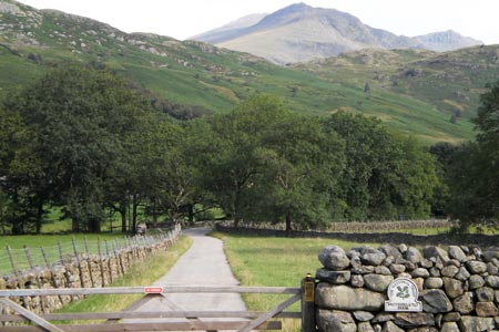 Photo from the walk - Scafell Pike from Brotherilkeld, an Eskdale circular