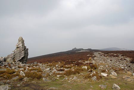Looking north along the Stiperstones Ridge
