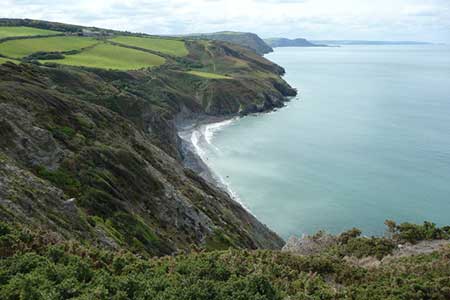 Photo from the walk - Byrlip and Ceredigion Coast Path from New Quay

