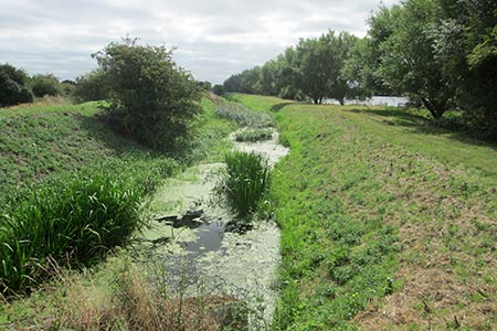 Water channel between Ferry Lagoon and Swavesey Lake, Fen Drayton Nature Reserve