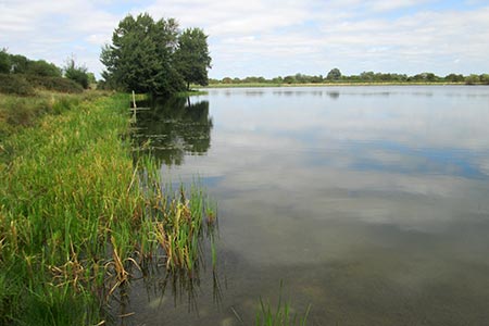 Swavesey Lake, one of the lakes at the Fen Drayton Nature Reserve