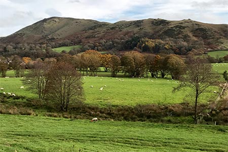 Photo from the walk - Caer Caradoc, Hope Bowdler & Willstone Hills