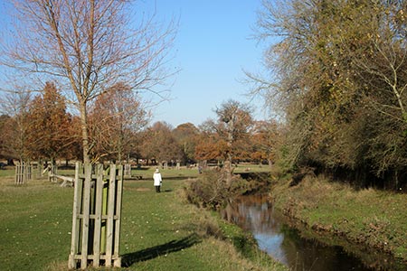 Beverley Brook at Richmond Park