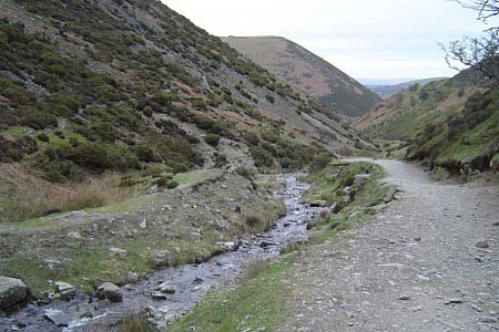 A brook joins the final descent into Cardingmill Valley