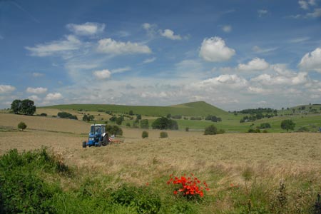 Harvesting hay near Wetton