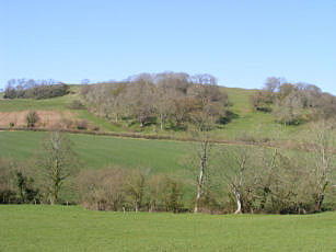 Countryside near North Wootton