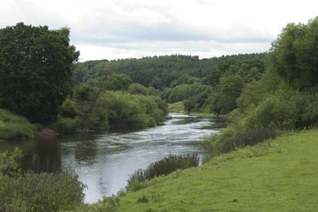 The River Severn before reaching Arley